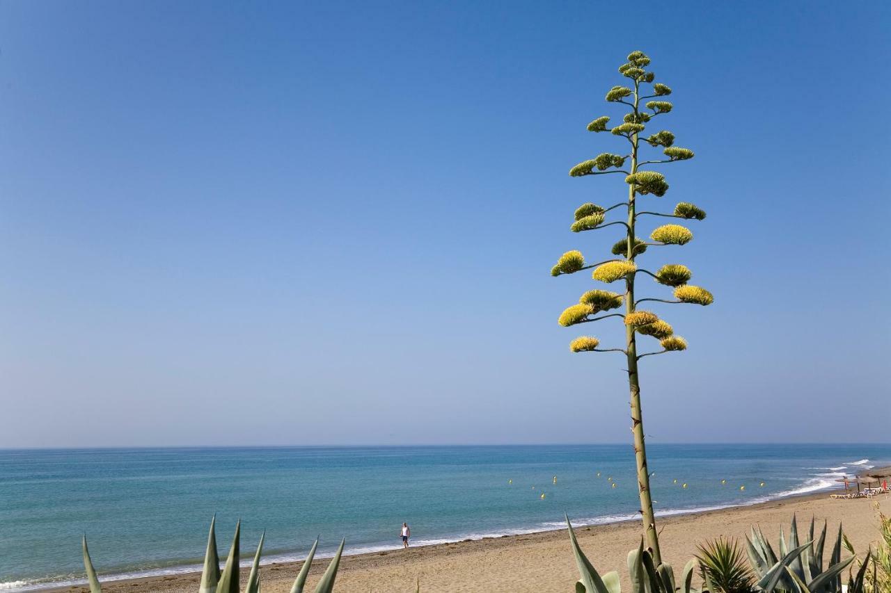 Heaven Beach Apartment 405 Estepona Zewnętrze zdjęcie